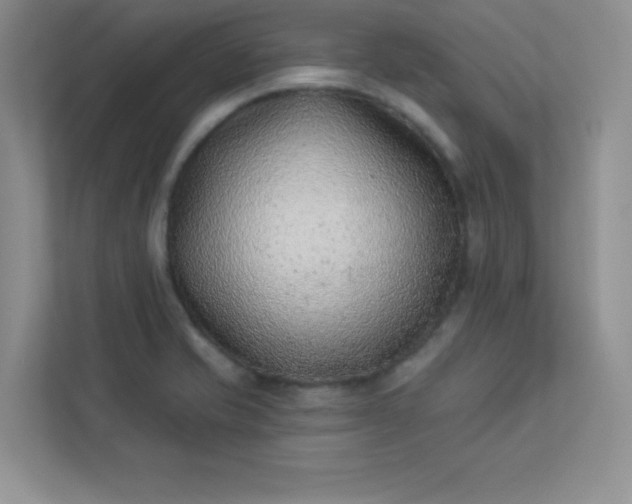 X0000113321421200909281158