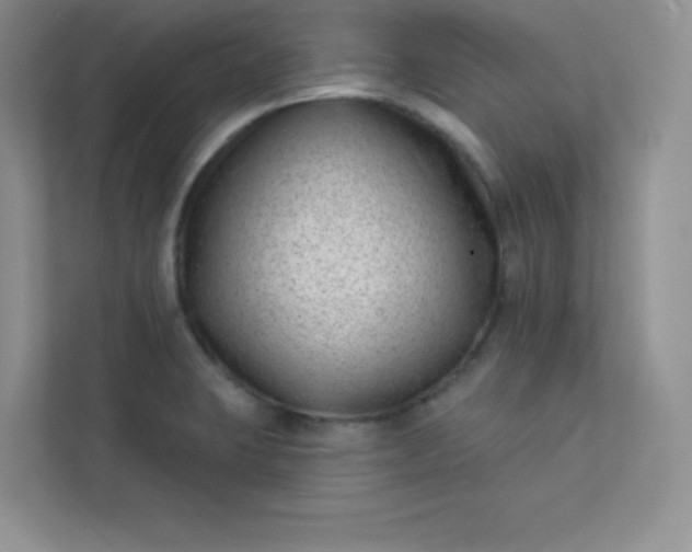 X0000113321423200909281158