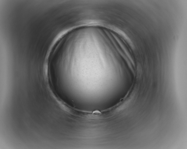 X0000113321424200909281158