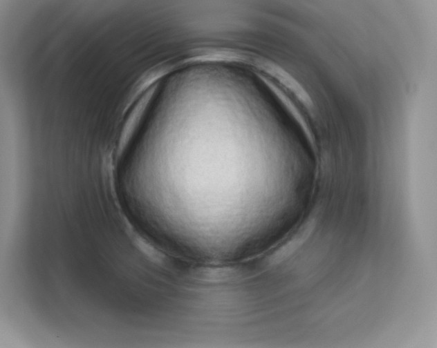 X0000113321425200909281158