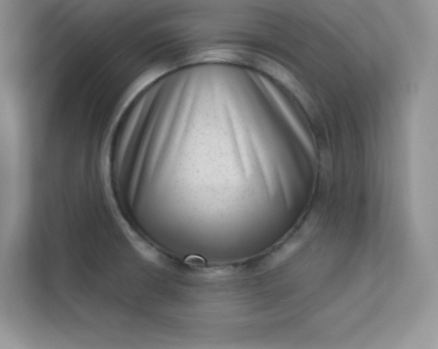 X0000113321426200909281158