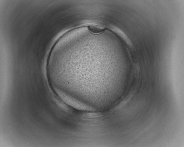 X0000113321427200909281158