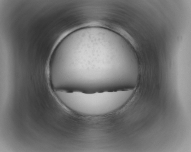 X0000113321428200909281158