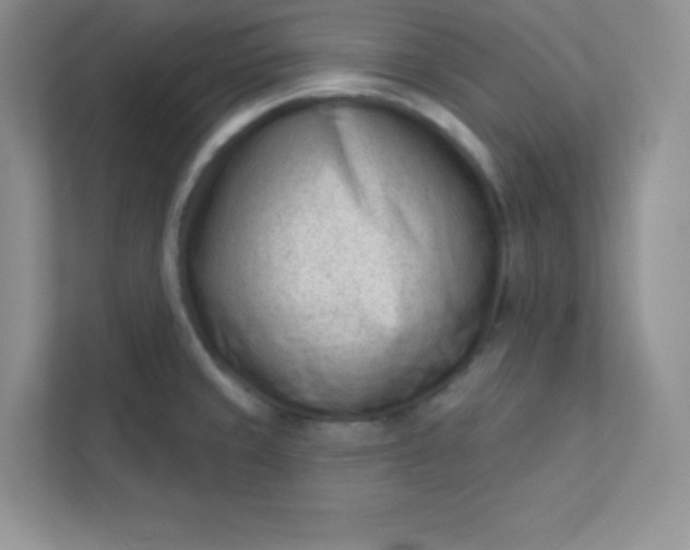 X0000113321429200909281158