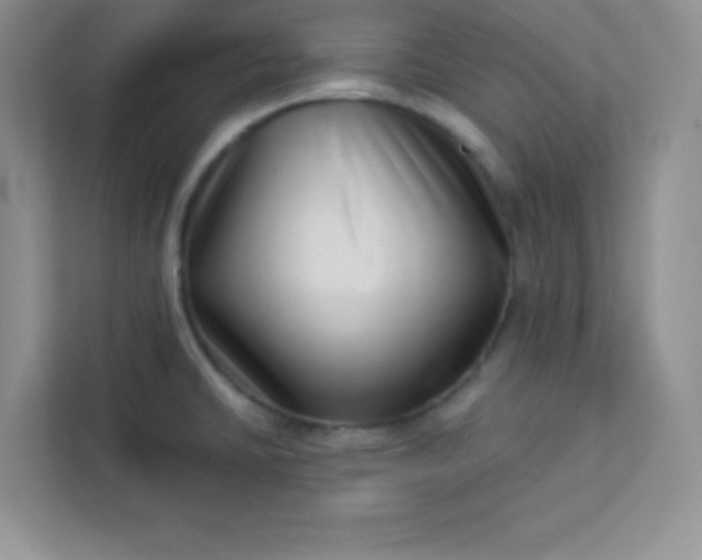 X0000113321430200909281158