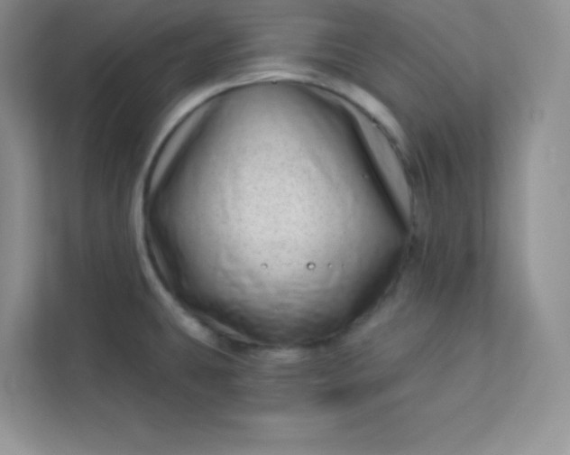 X0000113321431200909281158