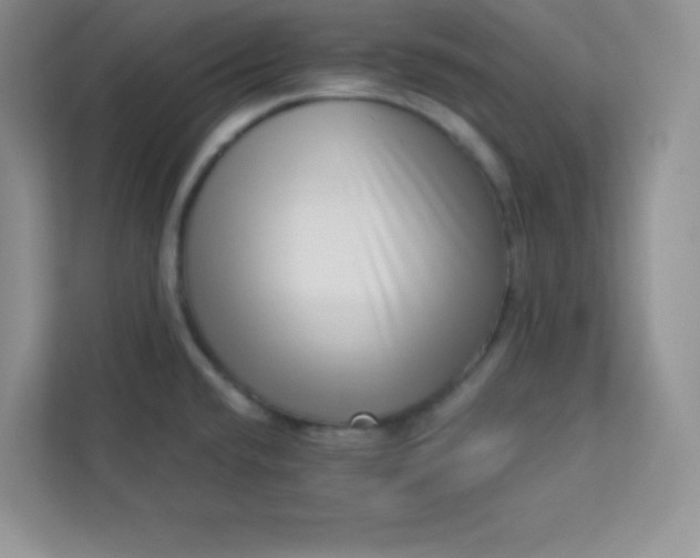 X0000113321432200909281158