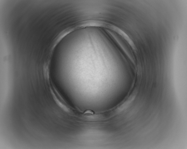 X0000113321433200909281158