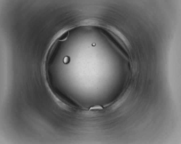 X0000113321434200909281158