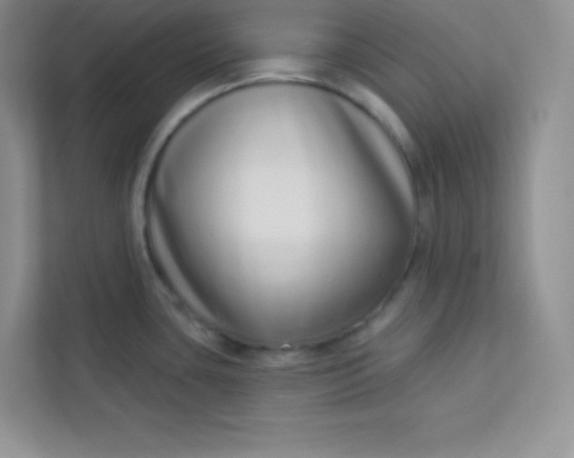 X0000113321435200909281158