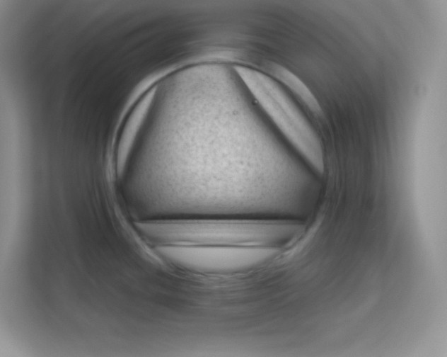 X0000113321436200909281158