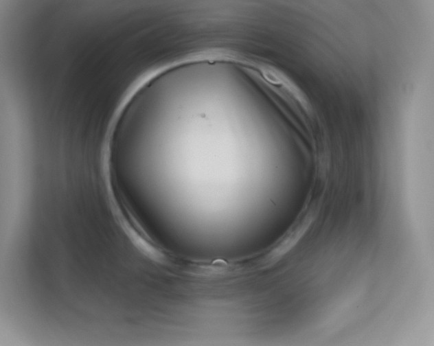 X0000113321438200909281158