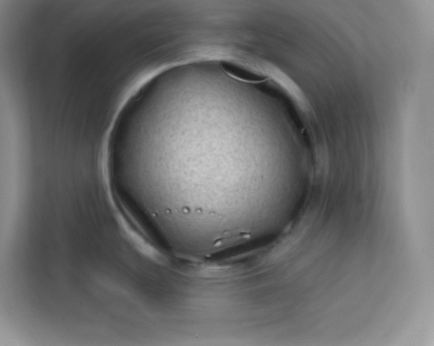 X0000113321439200909281158