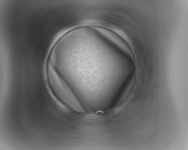 X0000113321440200909281158