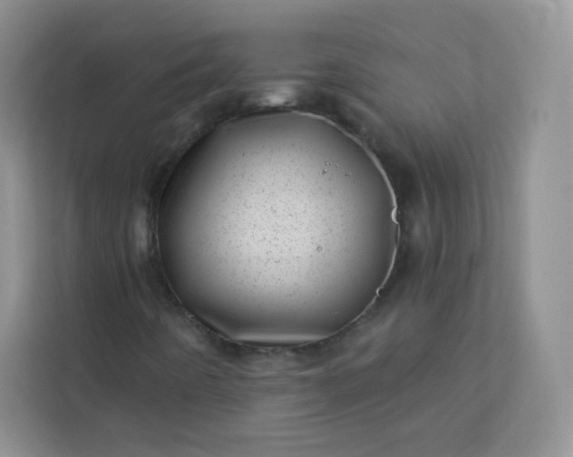 X0000113321442200909281157