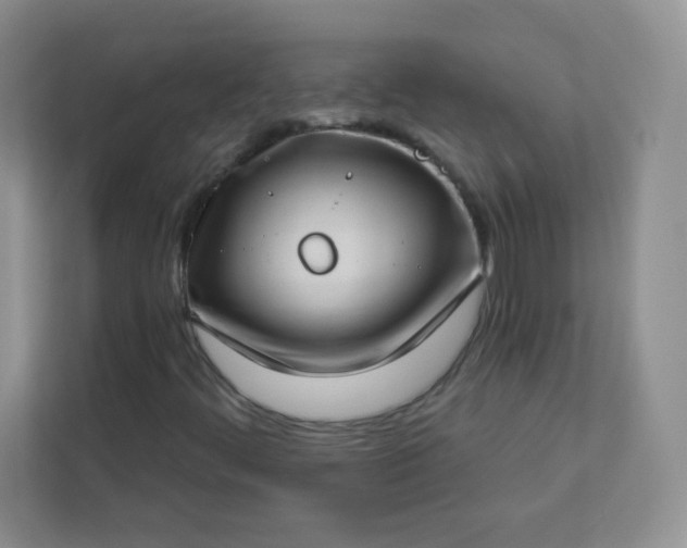 X0000113321444200909281157