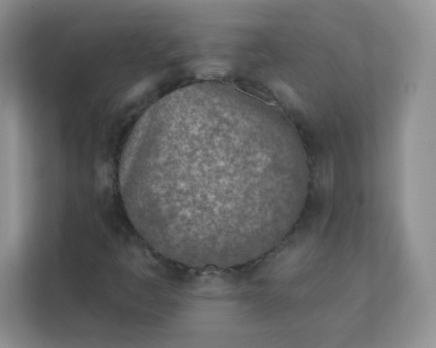 X0000113321445200909281157