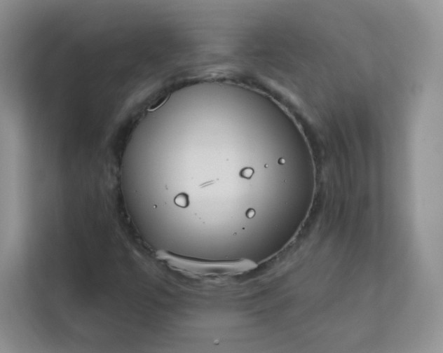 X0000113321447200909281157