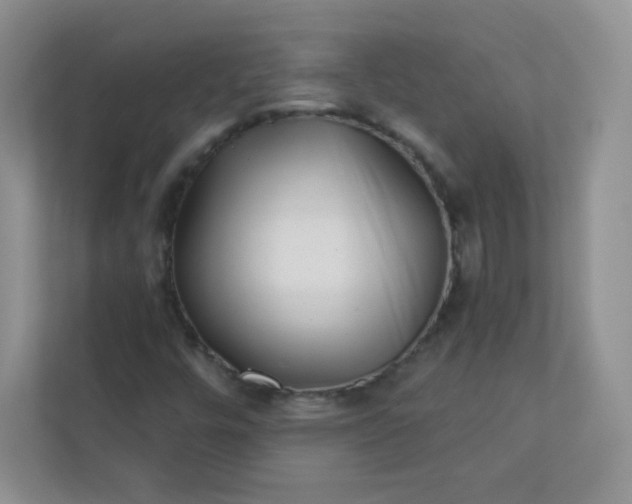 X0000113321448200909281157