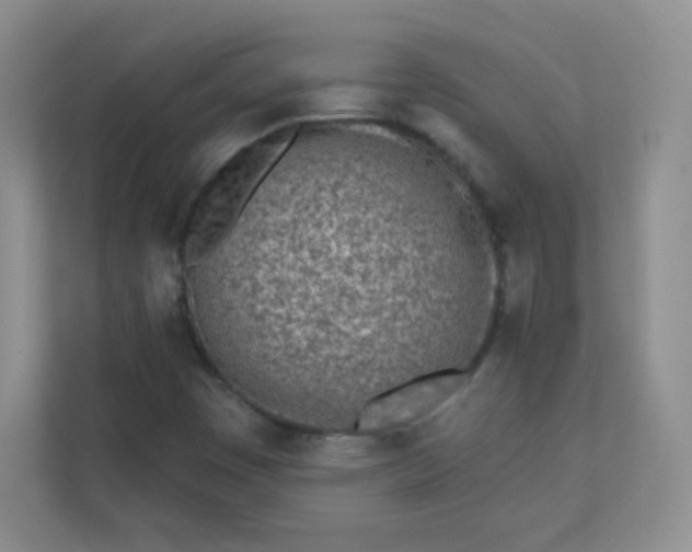 X0000113321449200909281157