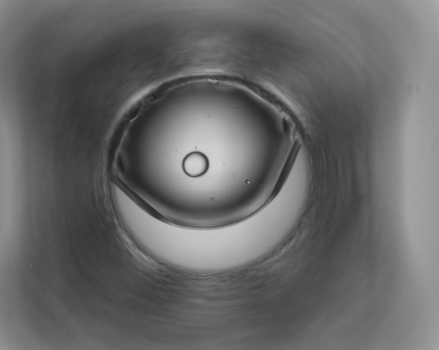 X0000113321452200909281157