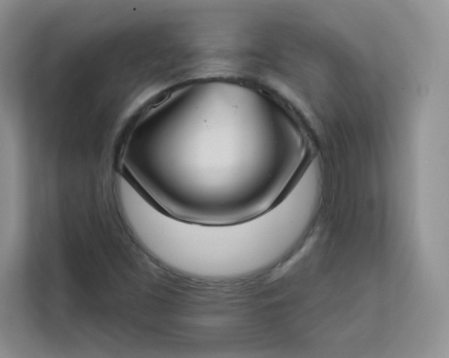 X0000113321453200909281157