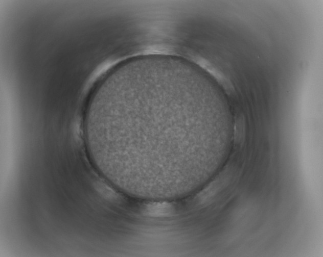 X0000113321454200909281157