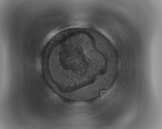 X0000113321455200909281157