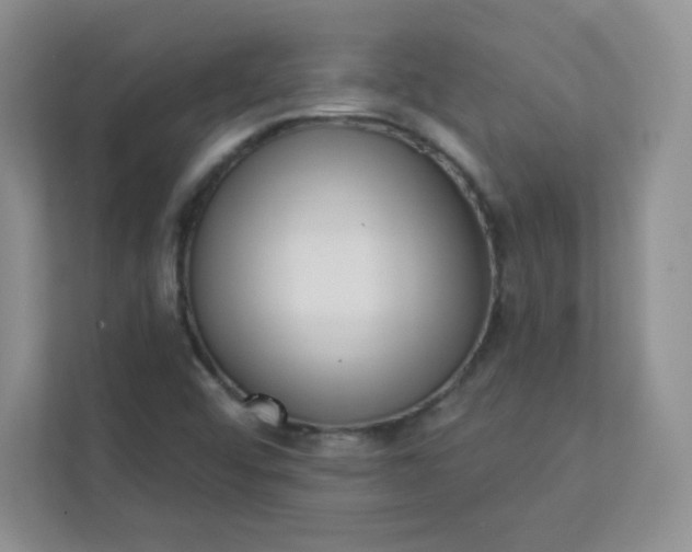 X0000113321456200909281157