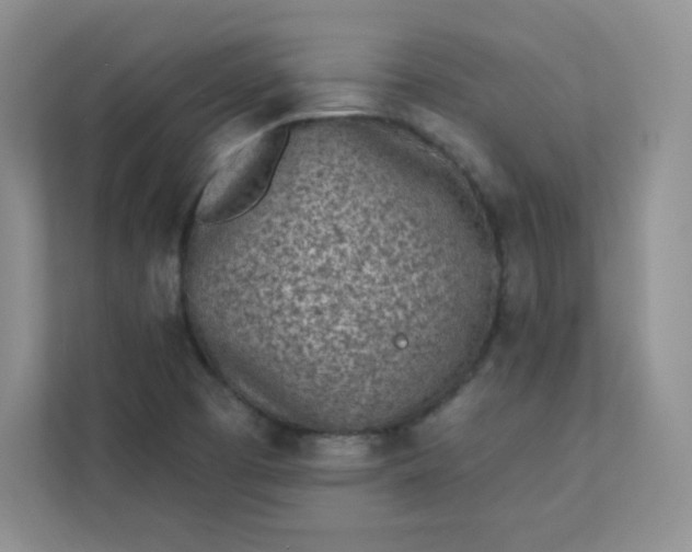 X0000113321457200909281157