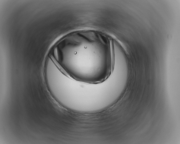 X0000113321460200909281157