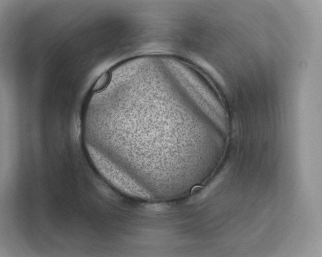 X0000113321461200909281157