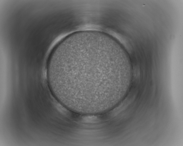 X0000113321462200909281157