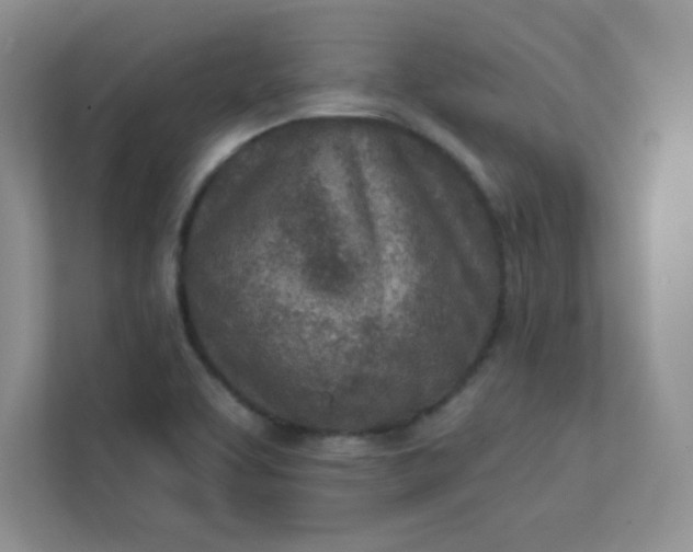 X0000113321463200909281157