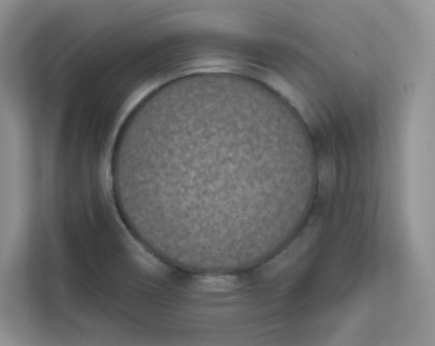 X0000113321466200909281157