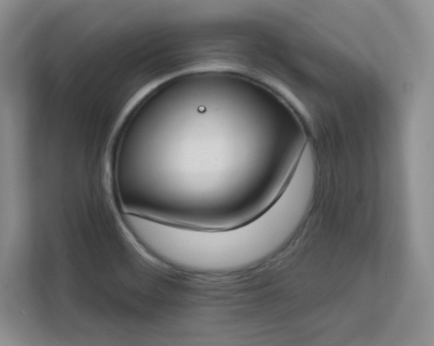 X0000113321468200909281157