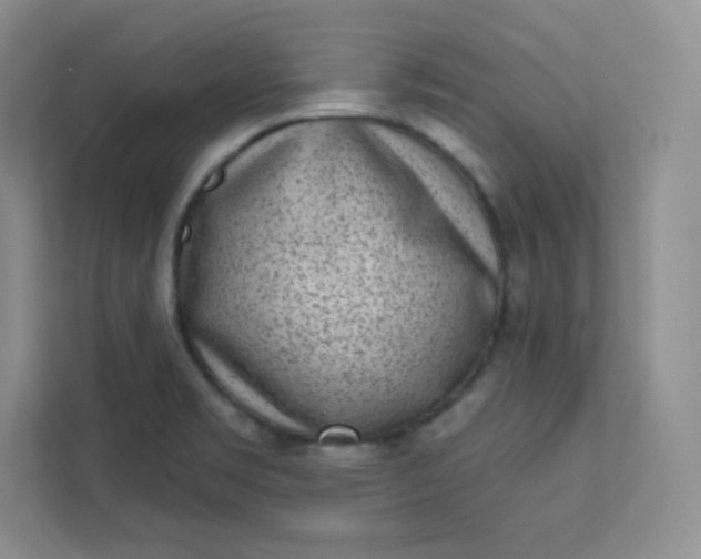 X0000113321469200909281157