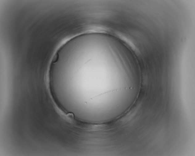 X0000113321471200909281157