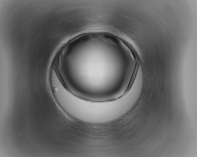 X0000113321472200909281157