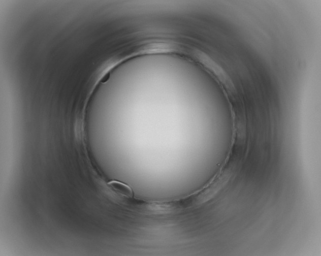 X0000113321473200909281157