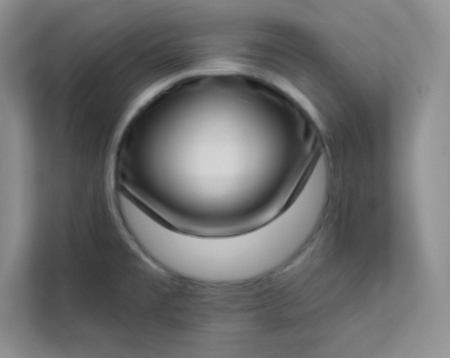 X0000113321477200909281157