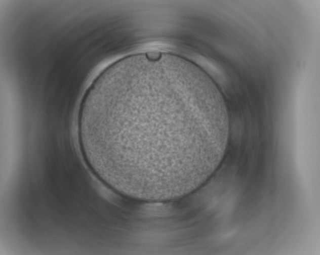 X0000113321478200909281157