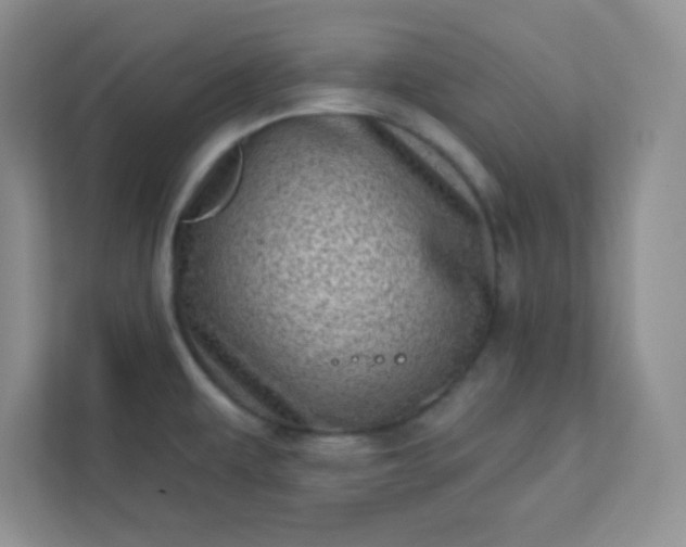 X0000113321479200909281157