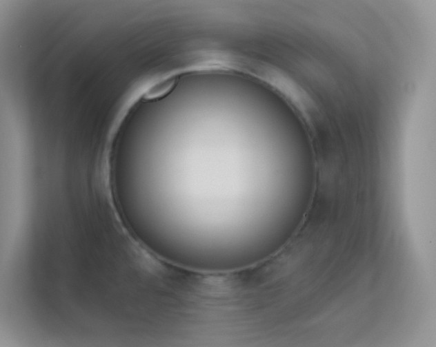 X0000113321480200909281157