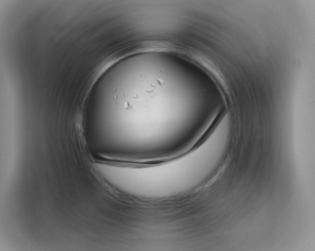 X0000113321481200909281157