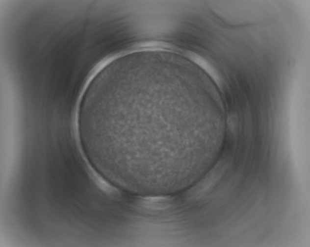 X0000113321482200909281157