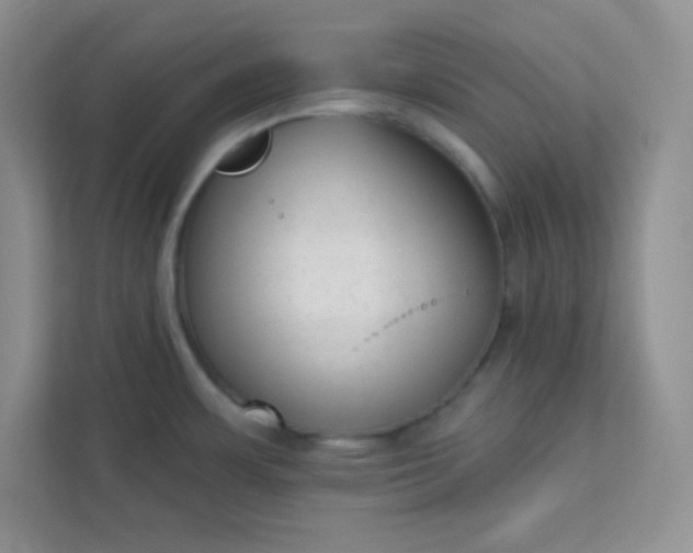 X0000113321483200909281157