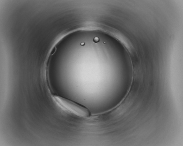 X0000113321484200909281157