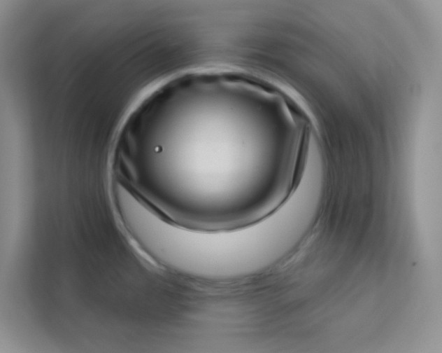 X0000113321485200909281157