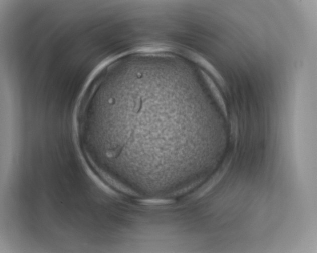 X0000113321487200909281157